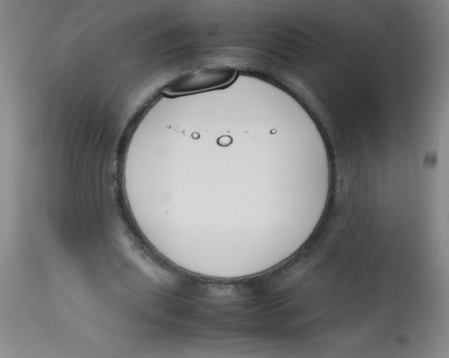 X0000113750439200910211150