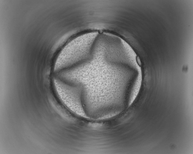 X0000113750440200910211150