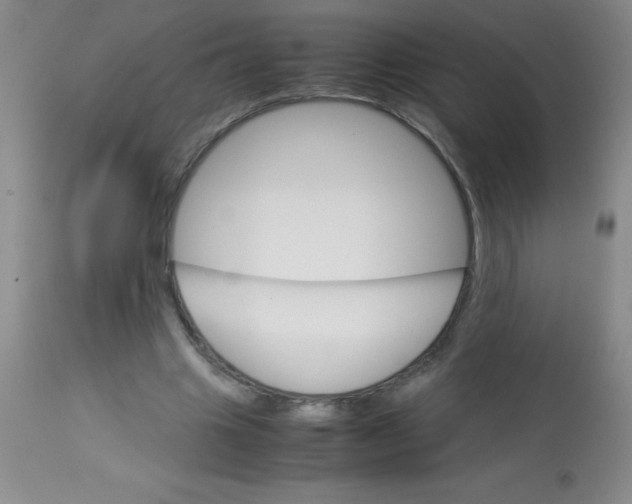 X0000113750441200910211150