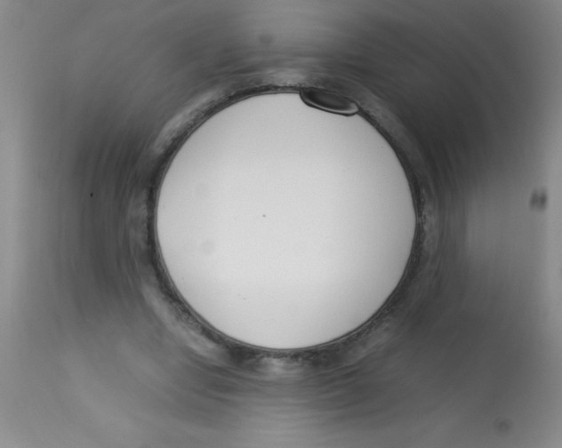 X0000113750442200910211150