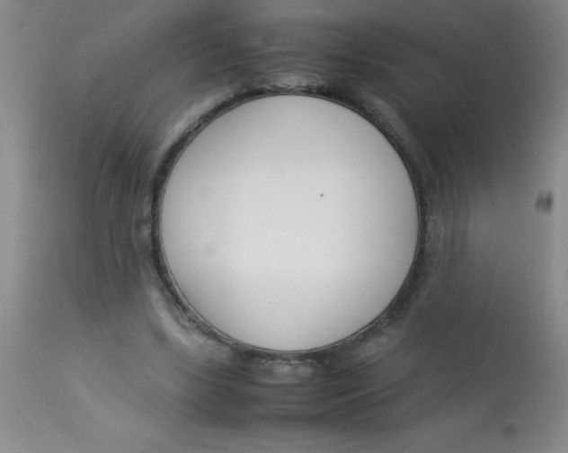 X0000113750443200910211150