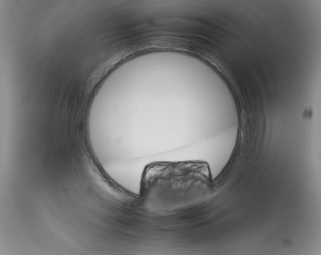 X0000113750445200910211150