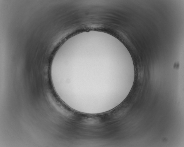 X0000113750447200910211150