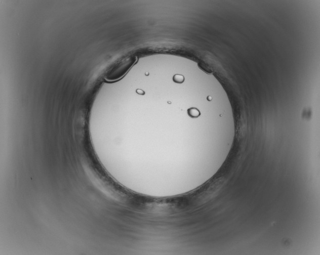 X0000113750448200910211150