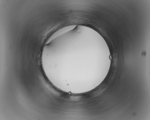 X0000113750450200910211150