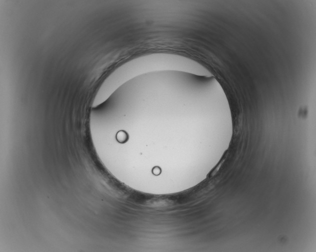 X0000113750452200910211150