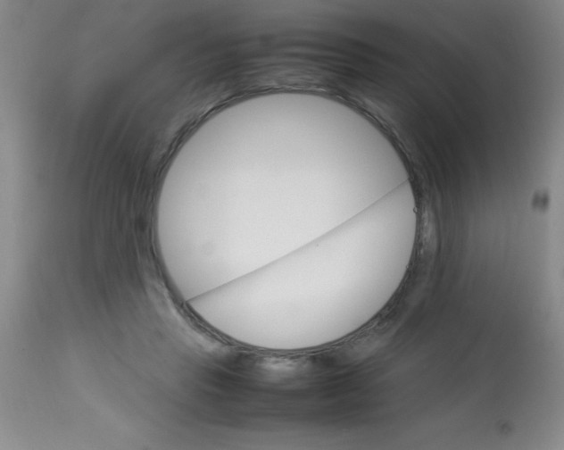 X0000113750453200910211150