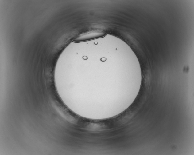 X0000113750455200910211150