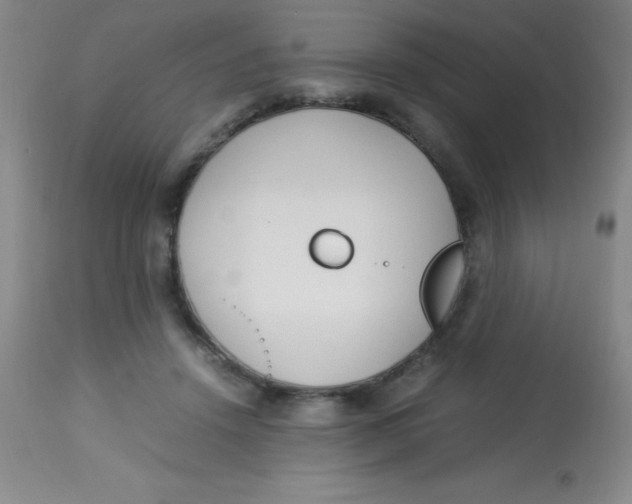 X0000113750456200910211150