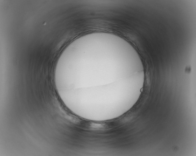 X0000113750457200910211150