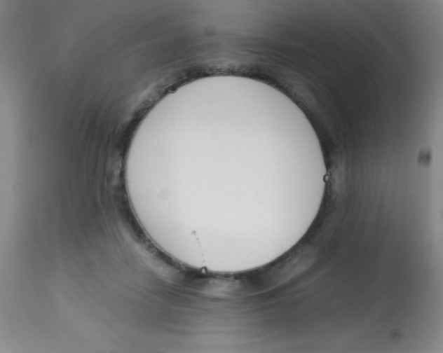 X0000113750458200910211150