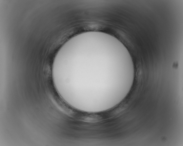 X0000113750459200910211150