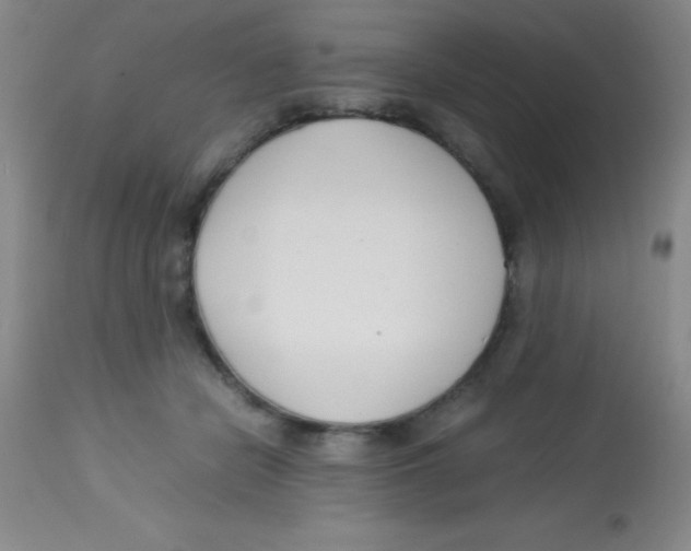 X0000113750462200910211150