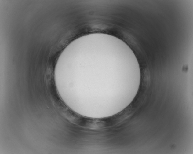 X0000113750463200910211150