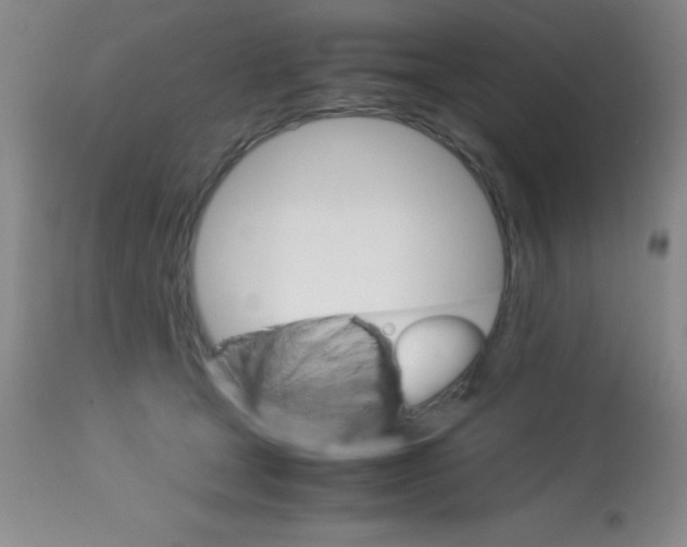 X0000113750465200910211150