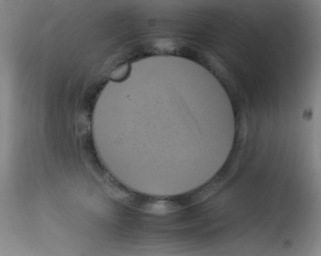 X0000113750467200910211150