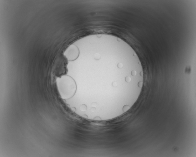 X0000113750469200910211150