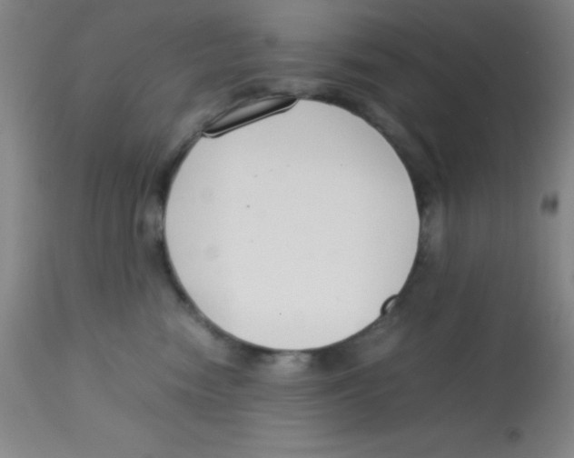 X0000113750474200910211150