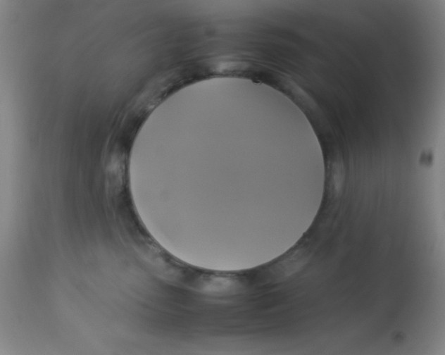 X0000113750475200910211150