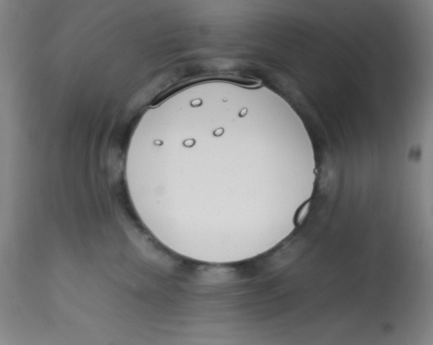 X0000113750476200910211150