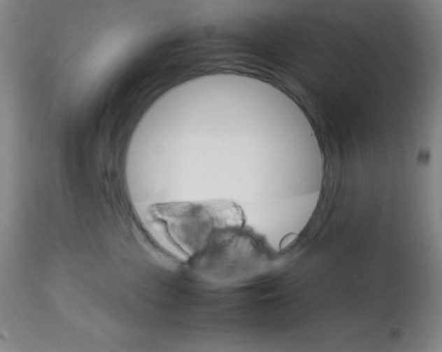 X0000113750477200910211150