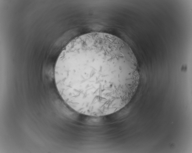 X0000113750479200910211150
