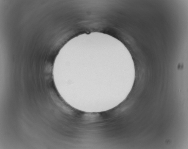 X0000113750480200910211150