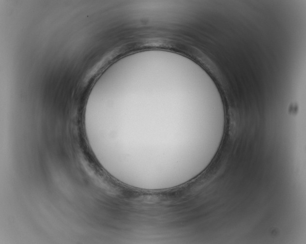 X0000113750482200910211150