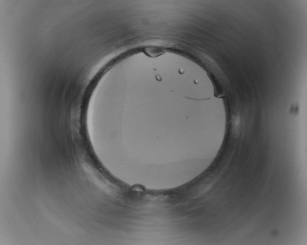 X0000113750484200910211150