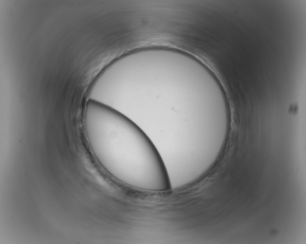 X0000113750485200910211150