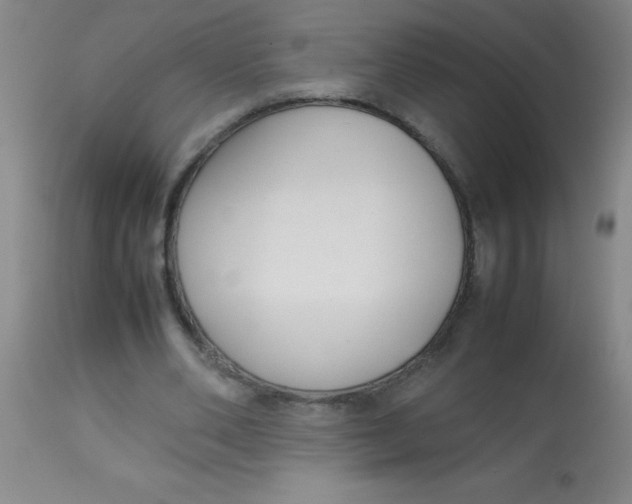 X0000113750486200910211150