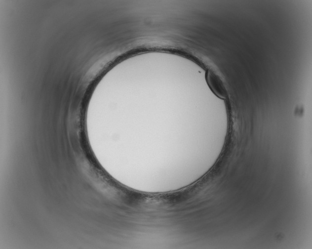 X0000113750487200910211150