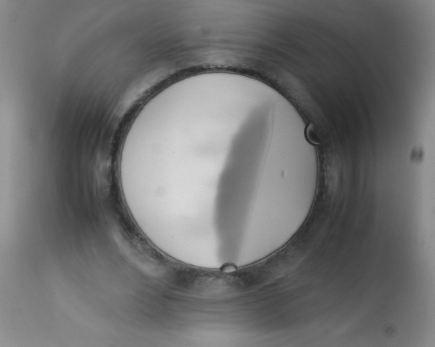 X0000113750488200910211149