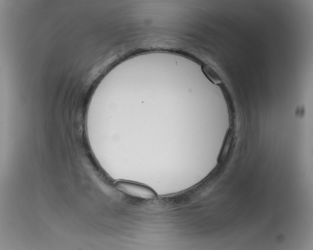 X0000113750489200910211149