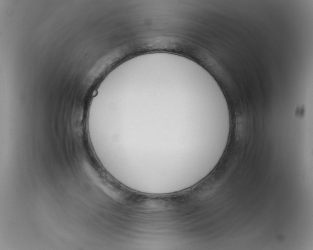 X0000113750490200910211149