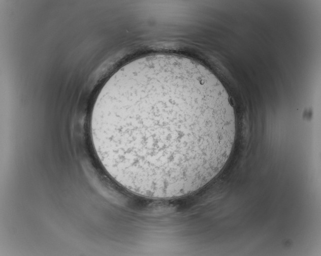 X0000113750491200910211149