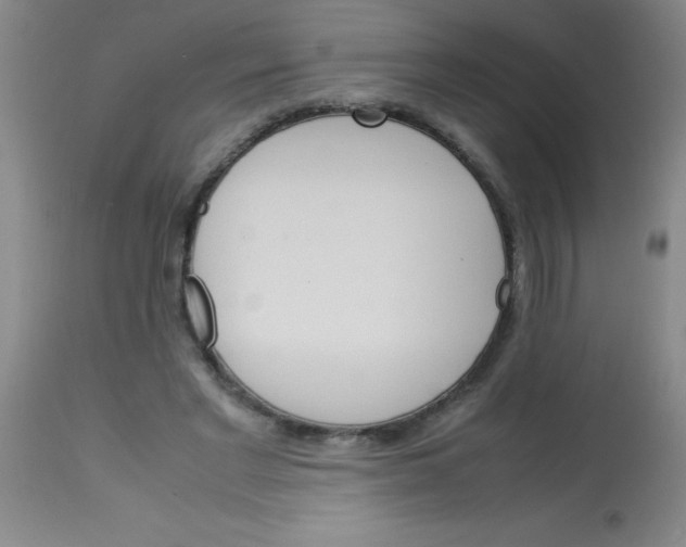 X0000113750493200910211149