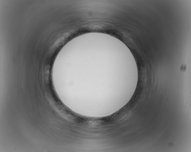 X0000113750495200910211149