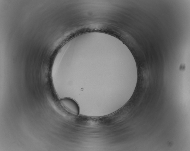 X0000113750496200910211149