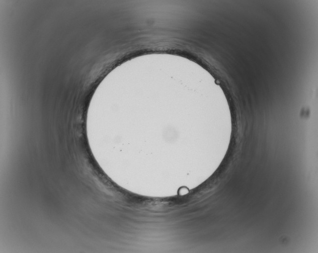 X0000113750497200910211149