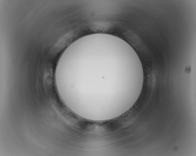 X0000113750498200910211149