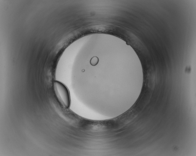 X0000113750500200910211149