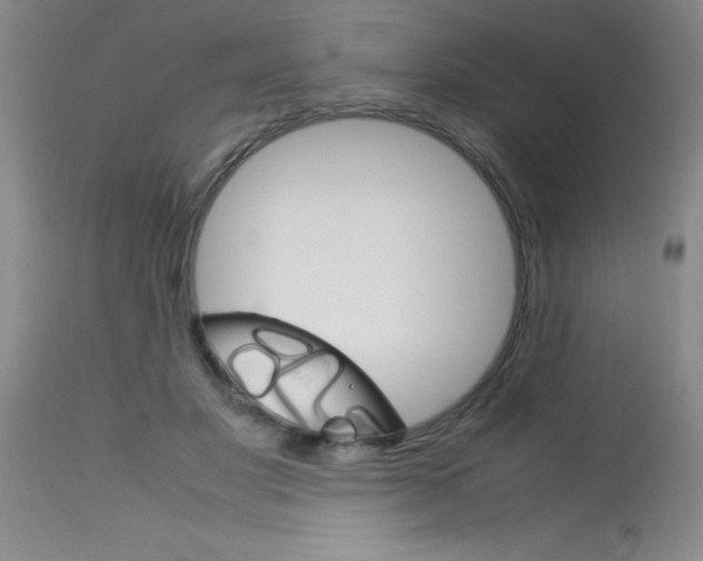 X0000113750501200910211149