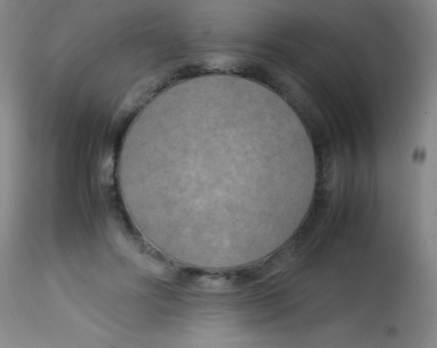 X0000113750502200910211149