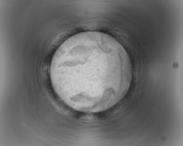 X0000113750503200910211149