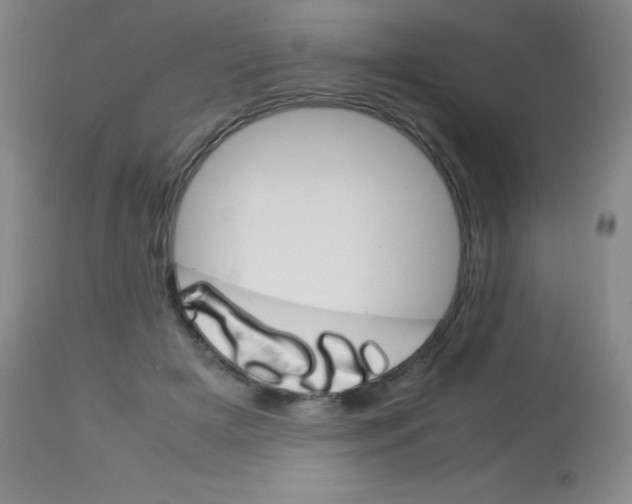 X0000113750505200910211149