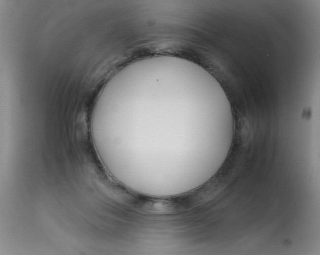 X0000113750506200910211149