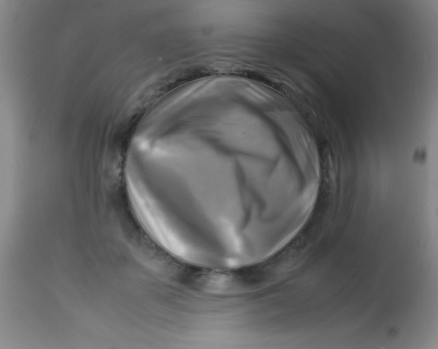 X0000113750507200910211149