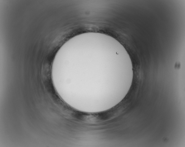 X0000113750511200910211149