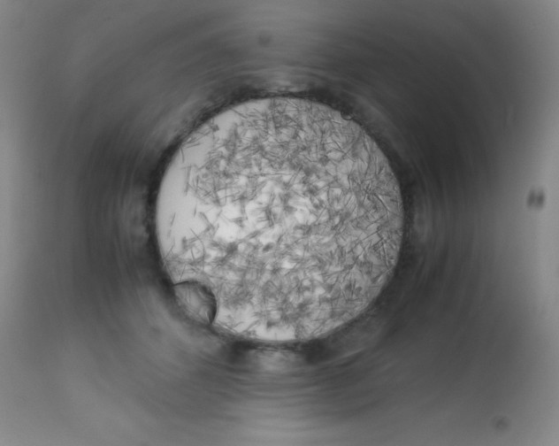X0000113750512200910211149